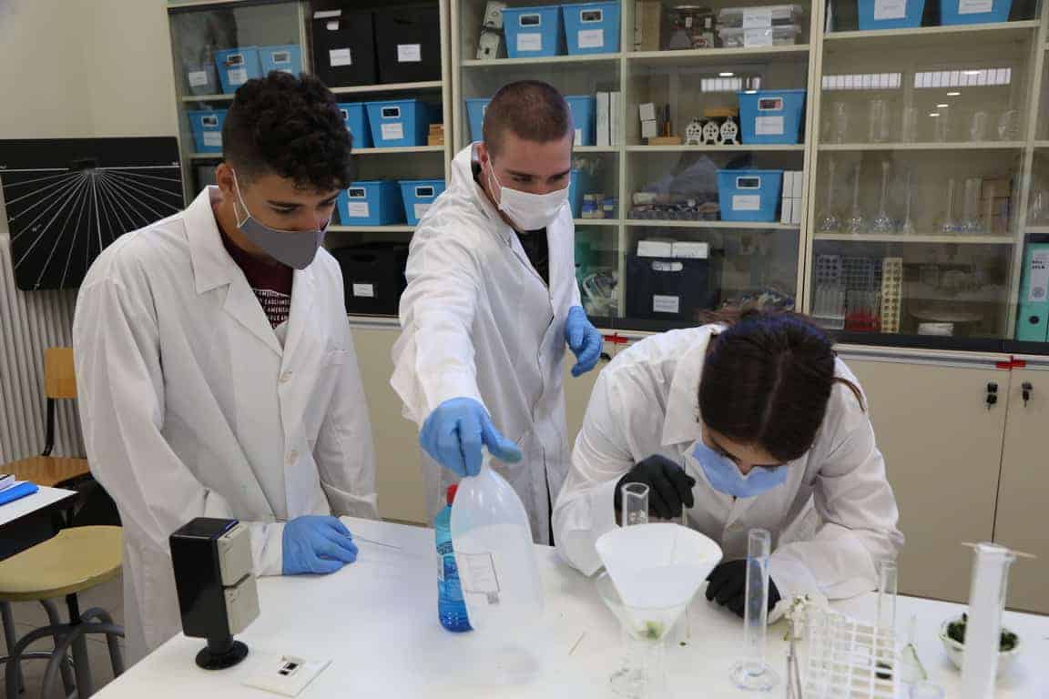 SpinachChlorophyll chromatography ΕΚΠΑΙΔΕΥΤΙΚΗ ΑΝΑΓΕΝΝΗΣΗ